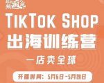 疯人院:TikTok Shop出海训练营（一店卖全球)，出海抢占全球新流量-一点通资源网
