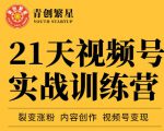 张萌21天视频号实战训练营，裂变涨粉、内容创作、视频号变现 价值298元-一点通资源网