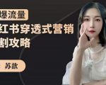 苏歆：小红书穿透式营销收割攻略，引爆流量，助你玩转小红书-一点通资源网