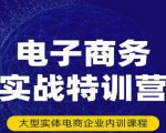 民赛电气内部出品:电子商务实战特训营,全方位带你入门电商,308种方式玩转电商-一点通资源网