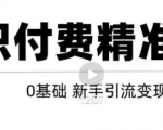玩转知识付费项目精准引流,给你1套课多账号操作落地方案!-一点通资源网