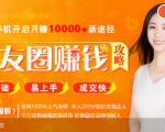 全网千万人气导师亲授:零基础/易上手的朋友圈赚钱攻略,让你轻松月入过万-一点通资源网