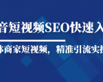 抖音短视频Seo搜索排名优化新手快速入门教程,实体商家短视频,精准引流实操课-一点通资源网