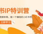 小红书IP特训营：从搭建-制作-爆款脚本等等，做一个赚钱的小红书号-一点通资源网