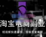 蓝Sir派·淘宝短视频快速起店,替代传统搜索方式,学会做一个不一样的淘宝店-一点通资源网