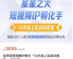 瑶瑶·自然流短视频IP孵化第二期,14天线上实战训练营,赋能100个人成为有数据能赚钱的独立IP孵化手-一点通资源网