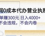 高利润0成本代办营业执照项目:一单赚300元日入4000+不会违规,不会内卷-一点通资源网