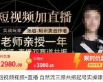 张越·短视频+直播,自然流三频共振起号实操课,短视频所有流量玩法讲解-一点通资源网