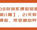108将淘系爆款陪跑营【第11期】,21天教运营打爆款,帮老板培养运营-一点通资源网