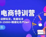 美团电商特训营:美团·店群玩法,无脑铺货月产出6000-15000+精细化月产2w+-一点通资源网