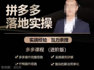 拼多多实战篇·落地实操:多多操作完整思路+实操案例讲解+拆解操作思路+复杂的算法简单化-一点通资源网