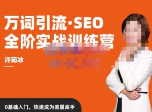 许茹冰·万词引流-SEO全阶实战训练营,0基础入门,快速成为流量高手-一点通资源网