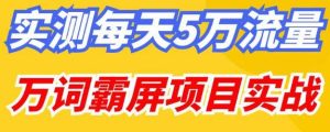 百度万词霸屏实操项目引流课，30天霸屏10万关键词-一点通资源网
