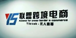 YS联盟·Tiktok无人直播，不出镜不剪辑不拍摄不发货无售后的跨境短视频躺赚玩法-一点通资源网