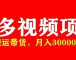 多多带货视频快速50爆款拿带货资格，搬运带货，月入30000【全套脚本+详细玩法】-一点通资源网