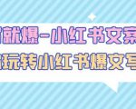 一写就爆-小红书文案课：带你玩转小红收爆文写作（45节课）-一点通资源网