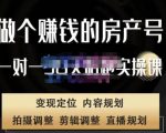 刘广标·同城房产号线上陪跑课,拍摄、剪辑、写文案、直播,做一个具有潜力价值的房产号-一点通资源网