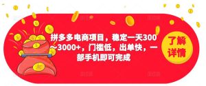 2023拼多多电商项目,稳定一天300~3000+,门槛低,出单快,一部手机即可完成-一点通资源网