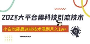 大平台黑科技引流技术,小白也能靠这些技术混到月入1w+(2022年的课程)-一点通资源网