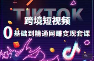 跨境短视频TIKTOK 0基础到精通网赚变现套课,跨境短视频独立站带货变现技巧-一点通资源网