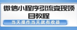 微信小程序引流变现项目教程,当天操作当天就有收益,变现不再是难事-一点通资源网
