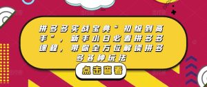 拼多多实战宝典“初级到高手”，新手小白必看拼多多课程，带你全方位解读拼多多各种玩法-一点通资源网