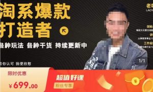 锋投老叶全店动销,淘系干货汇总,各种玩法,淘系爆款打造者-一点通资源网