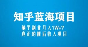 知乎蓝海玩法,躺平副业月入1W+,真正的睡后收入项目(6节视频课)-一点通资源网