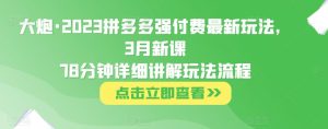 大炮·2023拼多多强付费最新玩法，3月新课​78分钟详细讲解玩法流程-一点通资源网