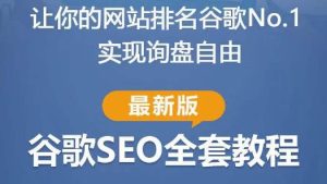 谷歌SEO实战教程:如何让你的网站在谷歌排名第一,内容从入门到高阶,适合个人及团队-一点通资源网