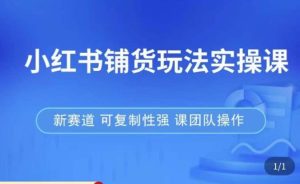 小红书铺货玩法实操课，流量大，竞争小，非常好做，新赛道，可复制性强，可团队操作-一点通资源网