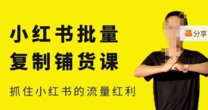 张宾·小红书批量复制铺货课,小红书0-1快速起号变现玩法,抓住小红书的流量红利(更新2023年3月)-一点通资源网