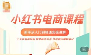 小红书电商新手入门到精通实操课,从入门到精通做爆款笔记,开店运营-一点通资源网