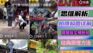 东方糖糖妹抖音短视频全套实战课思维+拍摄+剪辑+运营,从入门到精通-一点通资源网