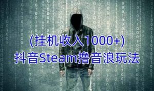 抖音Steam撸音浪玩法，挂机一天收入1000+不露脸 不说话 不封号 社恐人群福音-一点通资源网