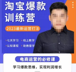 爱上黄昏·淘宝爆款训练营,2023最新运营打法,学习爆款思维,实现利润增长-一点通资源网