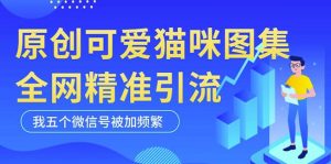 黑科技纯原创可爱猫咪图片,全网精准引流,实操5个VX号被加频繁-一点通资源网