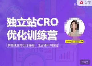 独立站CRO优化训练营,掌握独立站设计秘籍,打造高转化的独立站,让店铺ROI翻倍-一点通资源网