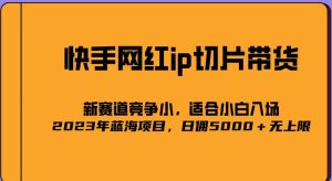 2023爆火的快手网红IP切片，号称日佣5000＋的蓝海项目，二驴的独家授权-一点通资源网