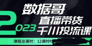 数据哥2023直播电商巨量千川付费投流实操课，快速掌握直播带货运营投放策略-一点通资源网