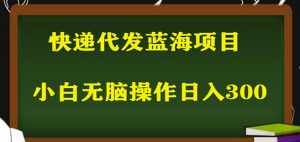 2023最新蓝海快递代发项目,小白零成本照抄也能日入300+-一点通资源网