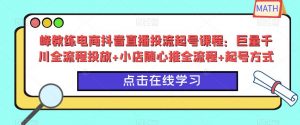 峰教练电商抖音直播投流起号课程:巨量千川全流程投放+小店随心推全流程+起号方式-一点通资源网