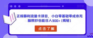 正规暴利流量卡项目,小白零基础零成本无脑照抄也能日入300+【揭秘】-一点通资源网