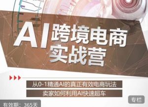 白龙老师·AI跨境电商实战营:从0-1精通Al的真正有效电商玩法,卖家如何利用Al快速超车-一点通资源网