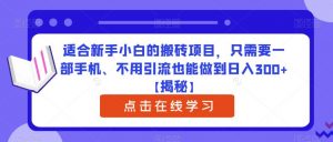 适合新手小白的搬砖项目，只需要一部手机、不用引流也能做到日入300+【揭秘】-一点通资源网