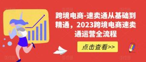 跨境电商-速卖通从基础到精通,2023跨境电商速卖通运营全流程-一点通资源网