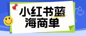 价值2980的小红书商单项目暴力起号玩法，一单收益200-300（可批量放大）-一点通资源网