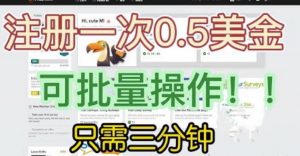 国外项目注册一次0.5美金,只需三分钟无脑操作,可批量同时放大操作,小白工作室福利【揭秘】-一点通资源网