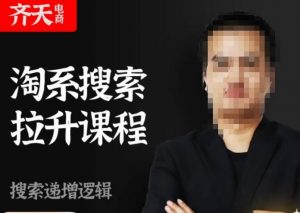 齐天电商·淘系搜索提升课程，​搜索递增标准化，动销标准化流程-一点通资源网