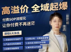 逸风-拼多多高溢价全域起爆，6大课程体系，付费玩法全套实操-一点通资源网